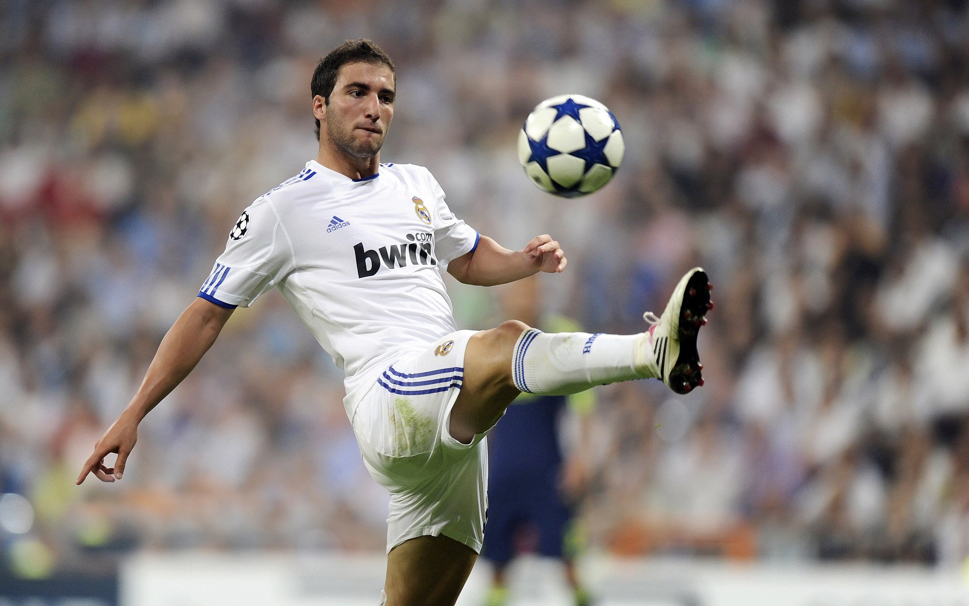 新球场设计方案正式公布